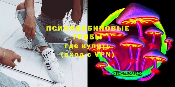 PSILOCYBIN Беломорск
